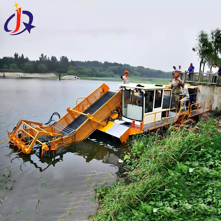 Hyacinth Og Duckweed Skútubátur